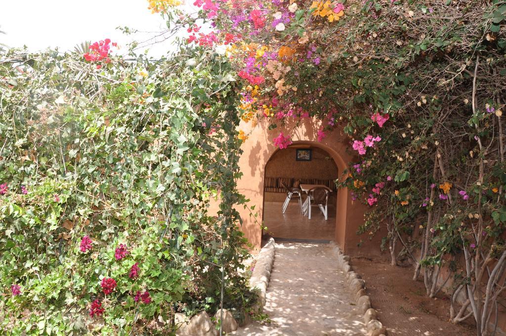 La Palmeraie De Massa Zaouit Massa Kültér fotó