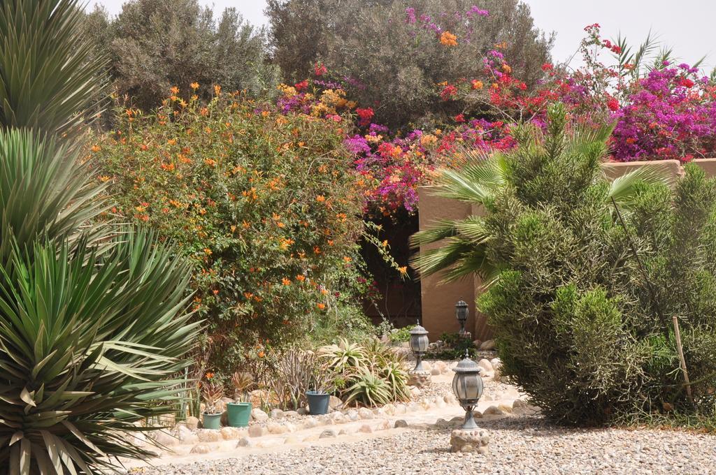 La Palmeraie De Massa Zaouit Massa Kültér fotó