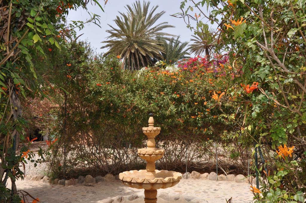 La Palmeraie De Massa Zaouit Massa Kültér fotó